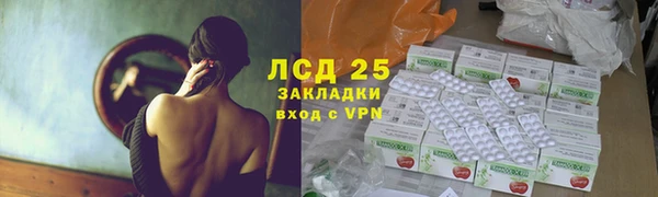 хмурый Сосновый Бор
