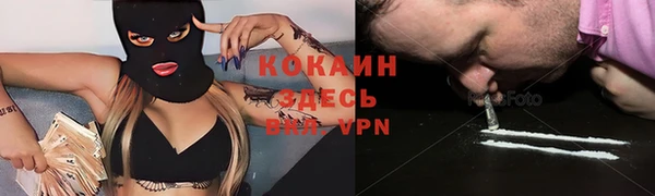 хмурый Сосновый Бор