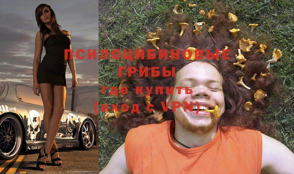 стафф Сосновка